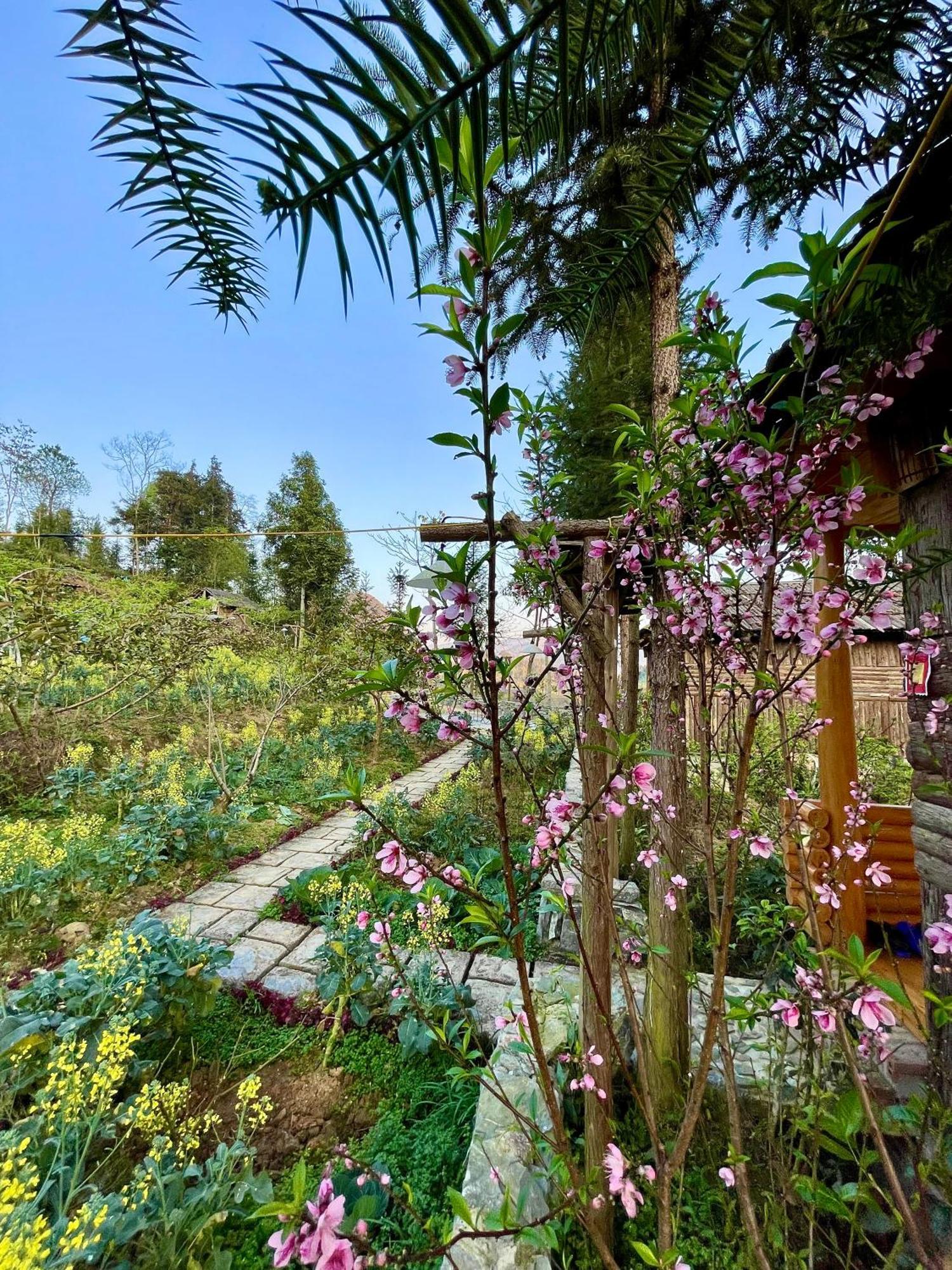 So H'Mong Homestay Бак-Ха Екстер'єр фото